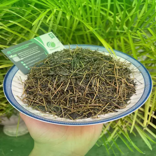 Quy trình sản xuất giảo cổ lam sấy khô đạt chuẩn THAPHACO