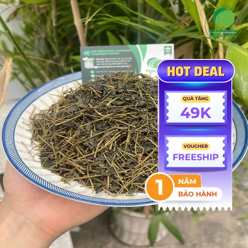 Sản phẩm trà giảo cổ lam sấy khô của THAPHACO tại TP.HCM