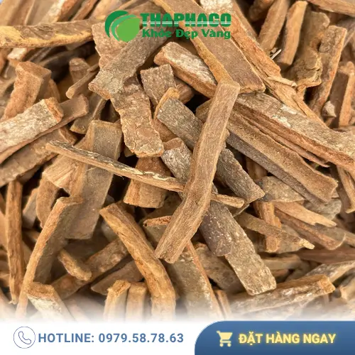 Tác dụng của Hậu phác trong y học