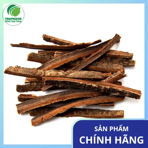 Hậu phác khô chất lượng cao sau khi chế biến