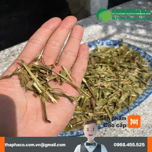Trà hoàn ngọc khô THAPHACO - Giải pháp giảm cân tự nhiên