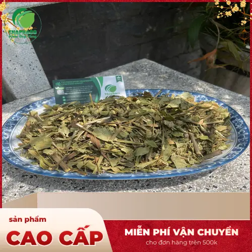 Cây Hoàn Ngọc tươi và lá Hoàn Ngọc