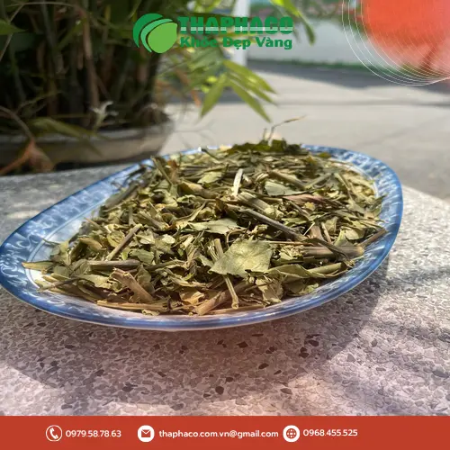 Hoàn Ngọc sấy khô chất lượng cao từ THAPHACO
