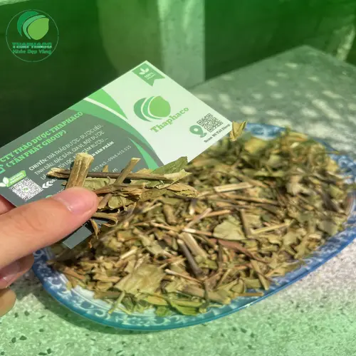Thân cây hoàn ngọc khô đã được sơ chế