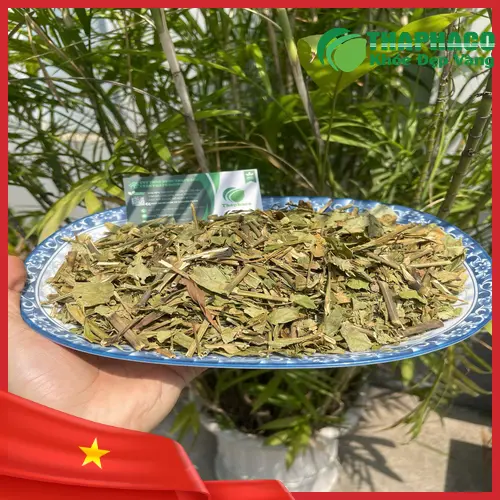 Trà Hoàn Ngọc sấy khô thơm ngon, tốt cho sức khỏe