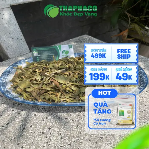 Bao bì sản phẩm trà hoàn ngọc THAPHACO