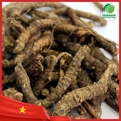 Màu sắc và hình dạng Hoàng Liên nguyên chất THAPHACO