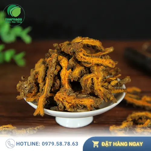 Lợi ích sức khỏe từ Hoàng Liên sấy khô THAPHACO