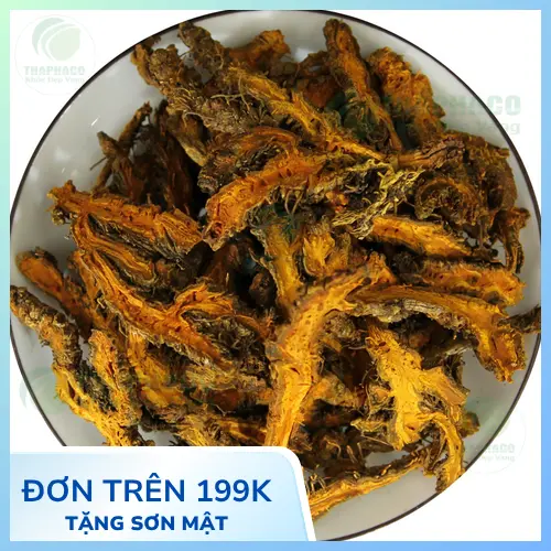 Cách dùng Hoàng Liên sấy khô hiệu quả và an toàn