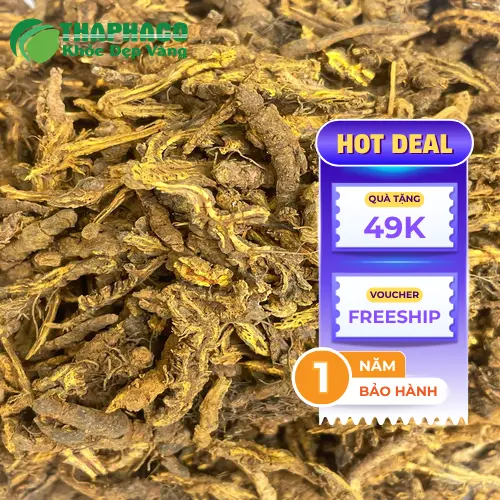 Sản phẩm Hoàng Liên chất lượng cao từ THAPHACO