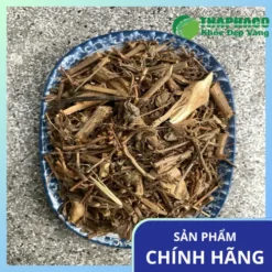 Địa chỉ bán lẻ hương nhu sấy khô tại TP.HCM