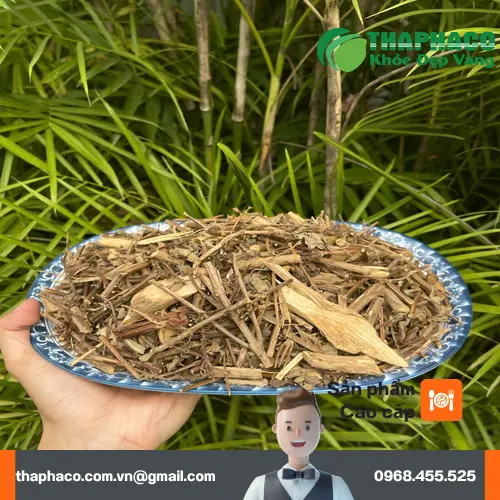 Cây hương nhu tự nhiên - nguyên liệu quý giá cho mái tóc