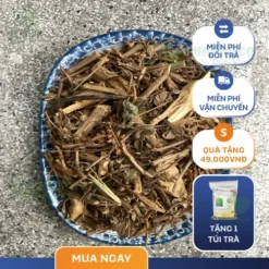 Mua Hương Nhu Khô Ở Đâu Uy Tín TPHCM? Lựa Chọn THAPHACO