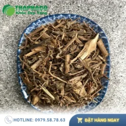 Giá Sỉ Hương Nhu Khô THAPHACO - Miễn Phí Giao Hàng Toàn Quốc
