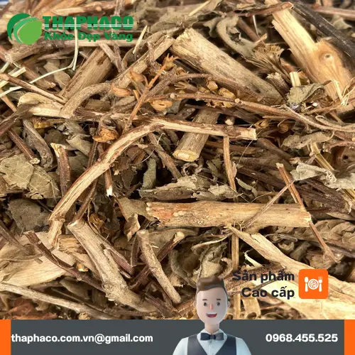 Hương nhu khô được sấy lạnh theo công nghệ tiên tiến