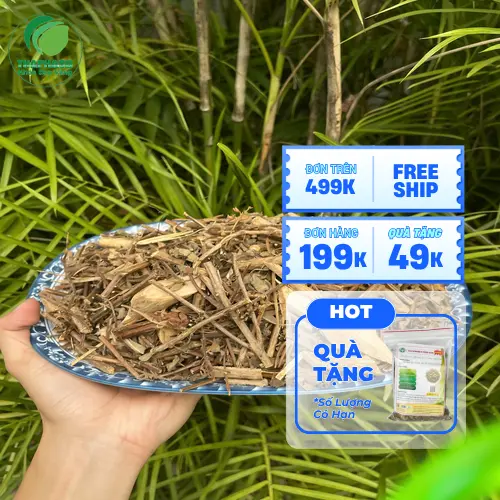 Hình ảnh những bó hương nhu tươi sau khi thu hoạch