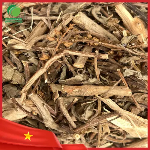 Hương nhu khô nguyên chất THAPHACO