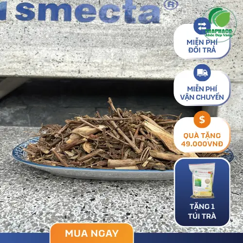 Mua hương nhu sấy khô tại THAPHACO với giá ưu đãi