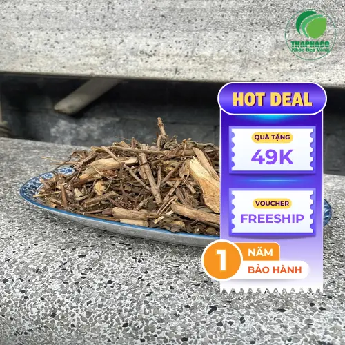 Hương nhu sấy khô chất lượng cao từ THAPHACO
