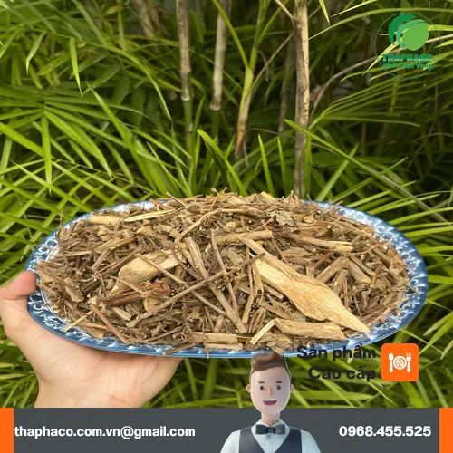 Hương Nhu sấy khô THAPHACO với giá ưu đãi