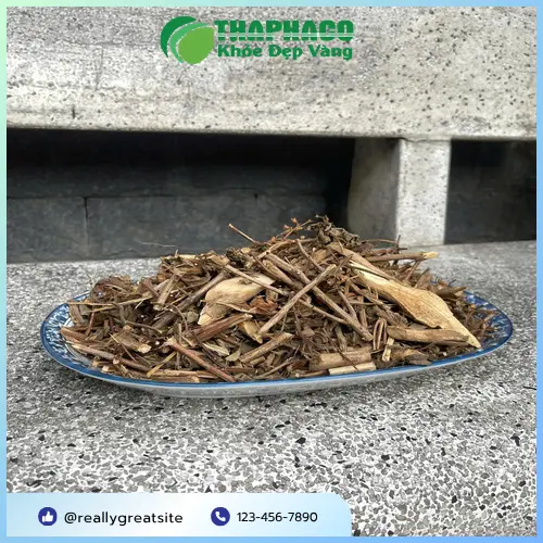 Pha trà hương nhu khô thơm ngon bổ dưỡng
