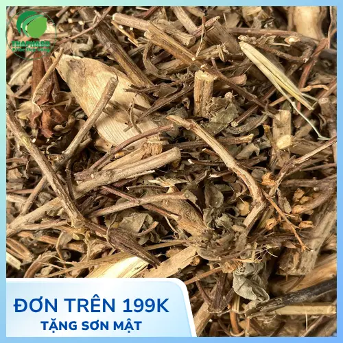 Công dụng của hương nhu khô THAPHACO trong y học cổ truyền và đời sống hàng ngày