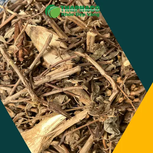 Địa chỉ THAPHACO cung cấp hương nhu sấy khô tại TP.HCM