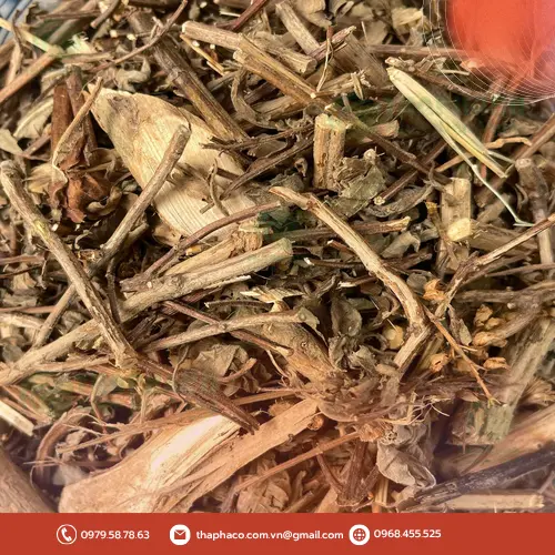 Hương nhu sấy khô THAPHACO, sẵn sàng cho việc sử dụng