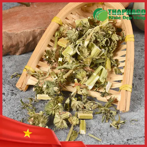 Nguyên liệu ích mẫu khô THAPHACO chất lượng cao