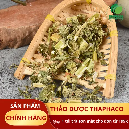 Hình ảnh cây ích mẫu tươi và ích mẫu sấy khô chất lượng cao từ THAPHACO