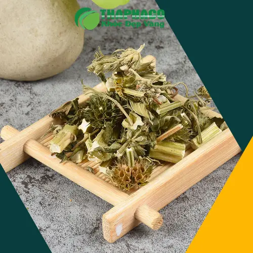 Hình ảnh trà ích mẫu sấy khô THAPHACO chất lượng cao