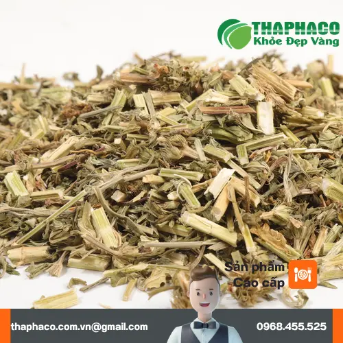 Cách pha trà ích mẫu sấy khô đúng chuẩn cho hiệu quả tốt nhất