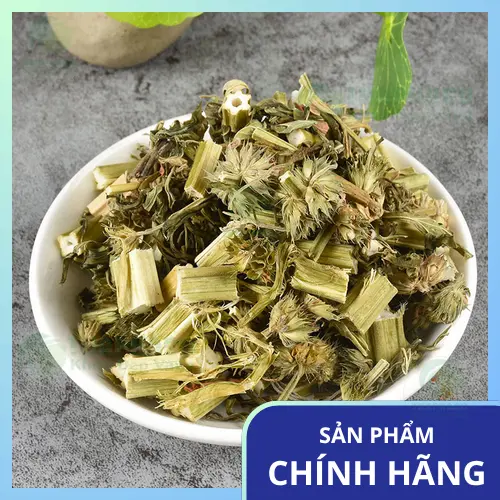 Lợi ích đa dạng của trà ích mẫu sấy khô cho sức khỏe