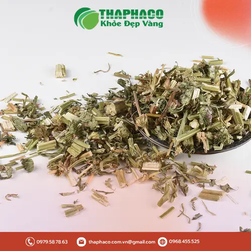 Sản phẩm ích mẫu sấy khô chất lượng cao từ THAPHACO, đảm bảo nguồn gốc