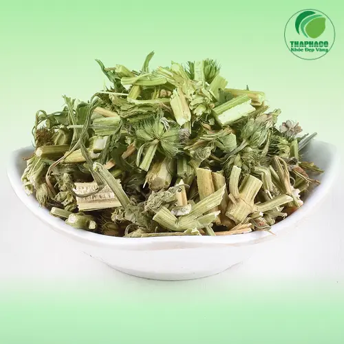 Trà ích mẫu sấy khô THAPHACO - Lựa chọn hàng đầu cho sức khỏe