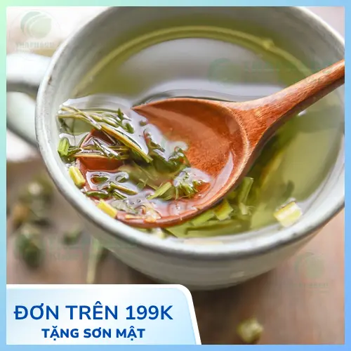Liên hệ mua sỉ ích mẫu sấy khô THAPHACO