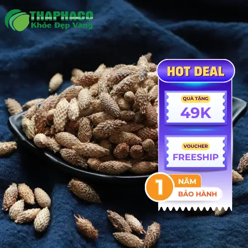 Hình ảnh cây ké đầu ngựa tươi