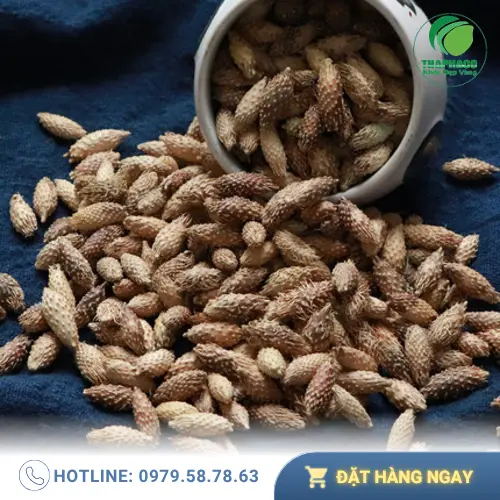 Ké đầu ngựa khô đã được sơ chế tại THAPHACO
