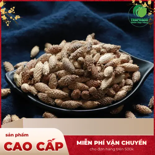 Ké đầu ngựa sấy khô được đóng gói cẩn thận tại THAPHACO