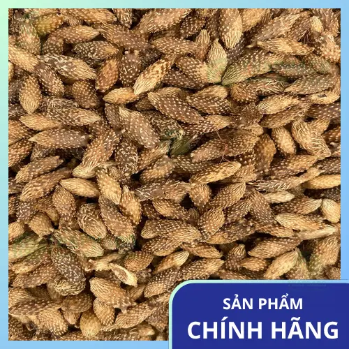 Pha trà thảo mộc từ ké đầu ngựa sấy khô tại nhà