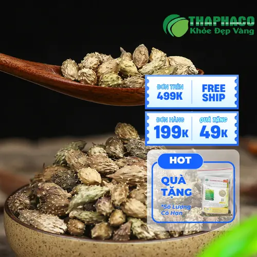 Hướng dẫn sử dụng ké đầu ngựa THAPHACO, trà thảo dược hiệu quả