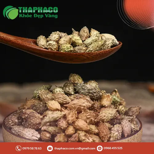 Địa chỉ mua ké đầu ngựa sấy khô uy tín tại TP.HCM