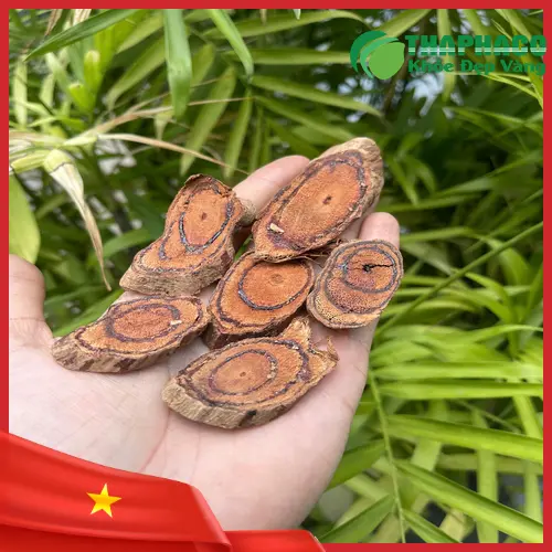 Cách dùng Kê Huyết Đằng sấy khô hiệu quả