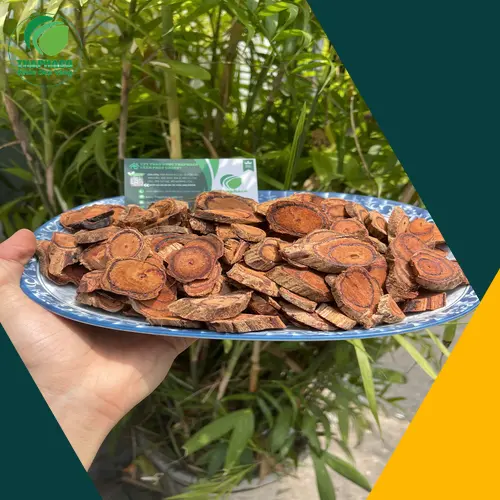 Trà Kê Huyết Đằng thơm ngon bổ dưỡng