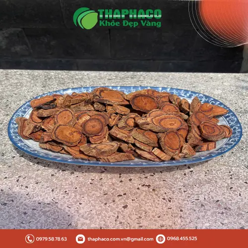 Kê Huyết Đằng THAPHACO - Lựa chọn tin cậy cho sức khỏe