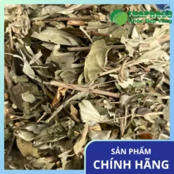 Khổ Sâm Mua Ở Đâu Giá Rẻ Uy Tín? THAPHACO