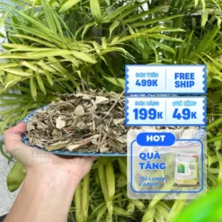 Giá sỉ Khổ Sâm nguyên chất: Ưu đãi freeship từ THAPHACO!