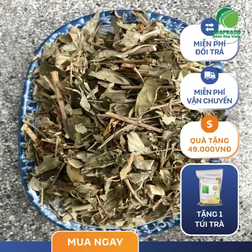 Khổ Sâm khô nguyên chất Trà Hoa Sấy Khô THAPHACO