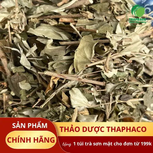 Khổ Sâm khô tại THAPHACO