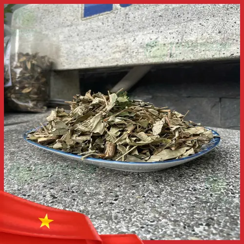 Khổ Sâm chất lượng cao